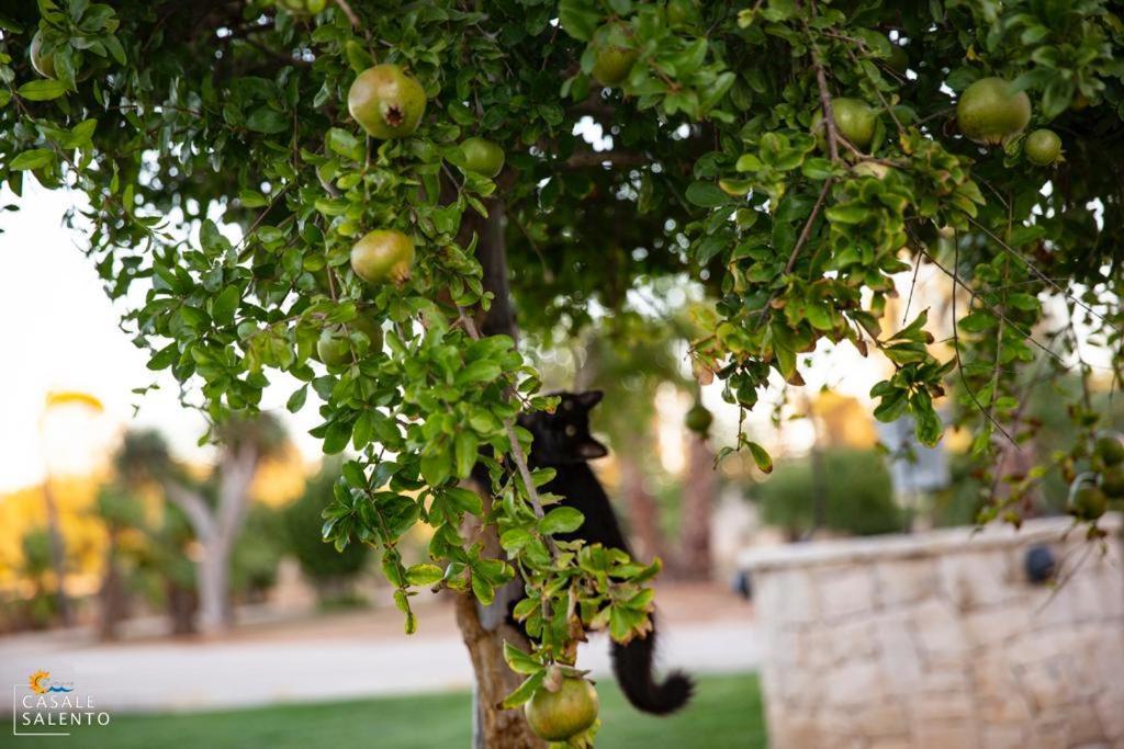 Casale Salento Bed and Breakfast Nardò Εξωτερικό φωτογραφία