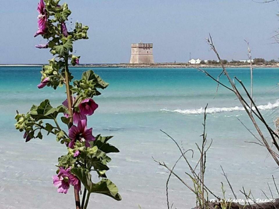 Casale Salento Bed and Breakfast Nardò Εξωτερικό φωτογραφία